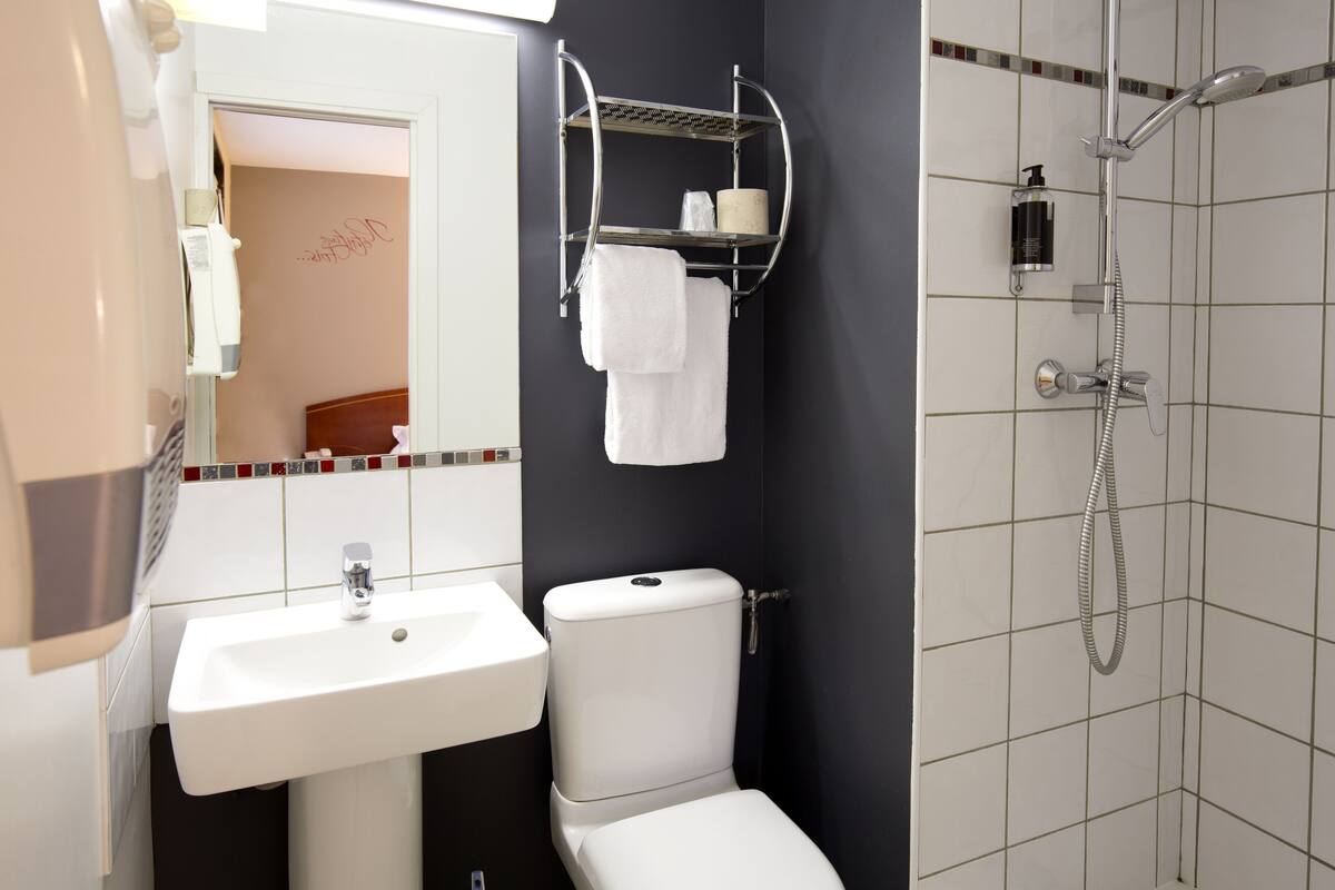 shower, free toiletries, hair dryer, towels