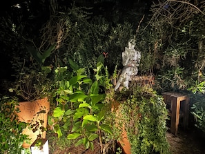 Vườn