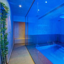 Sauna, bain à remous, hammam, hammam, soins d'aromathérapie