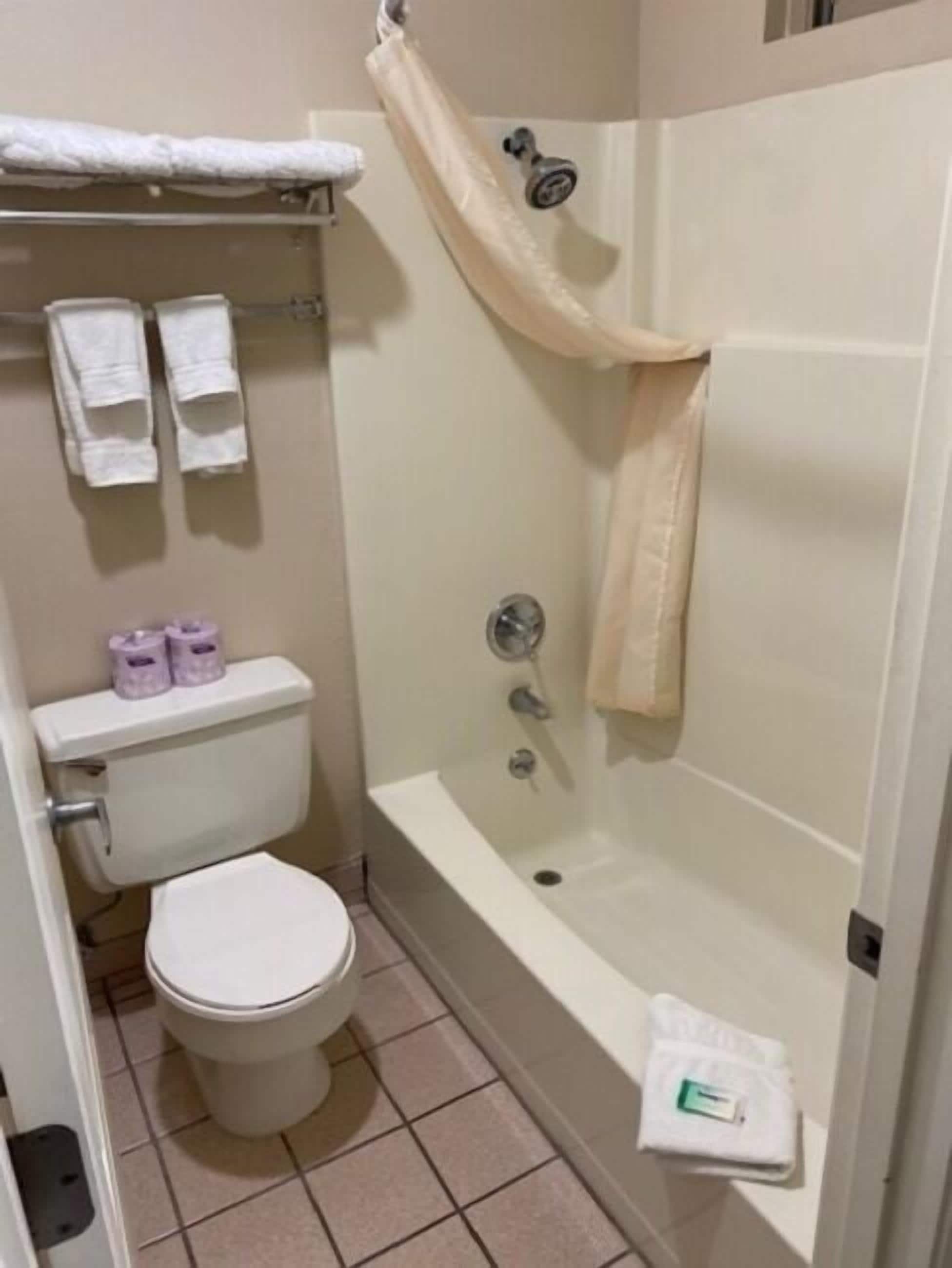 A bathroom with a toilet, a bathtub, and a shower.