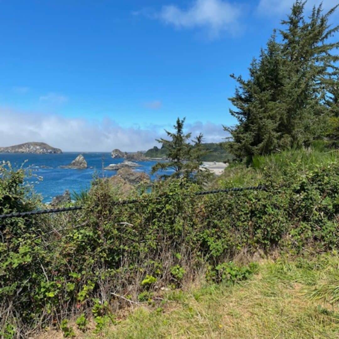 A coastal landscape with a clear sky, rocky outcrops, and dense greenery.