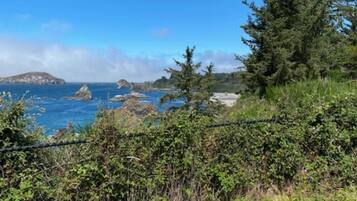 A coastal landscape with a clear sky, rocky outcrops, and dense greenery.