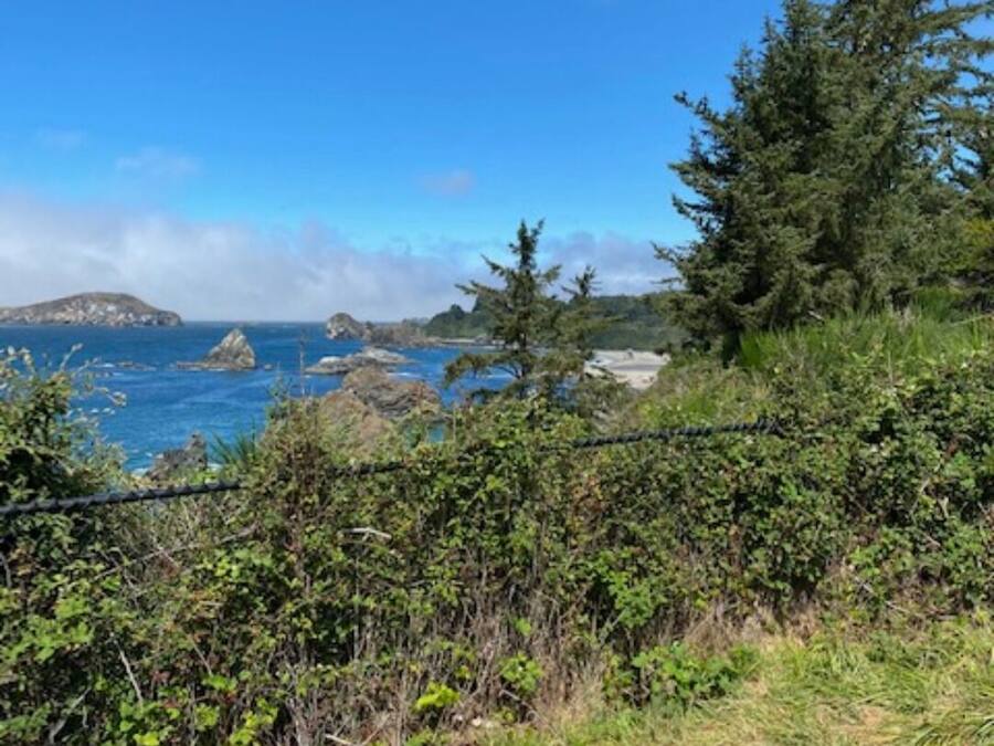 A coastal landscape with a clear sky, rocky outcrops, and dense greenery.