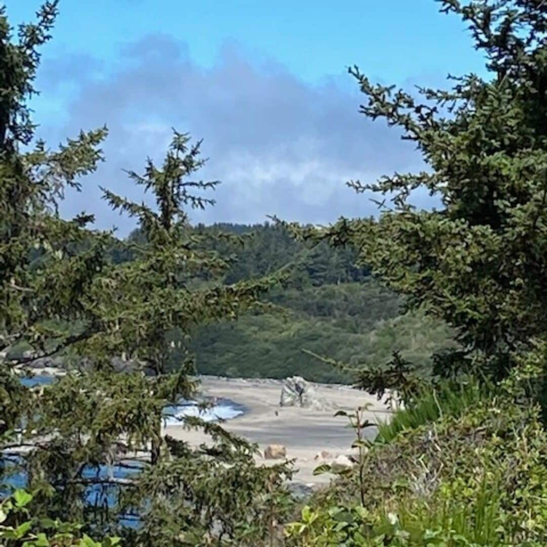 A coastal landscape with dense greenery and a sandy beach.