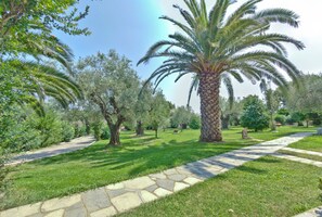 Garden - Mendi Hotel (Kassandra)