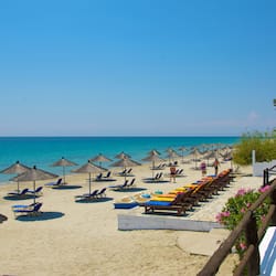 On the beach, beach bar