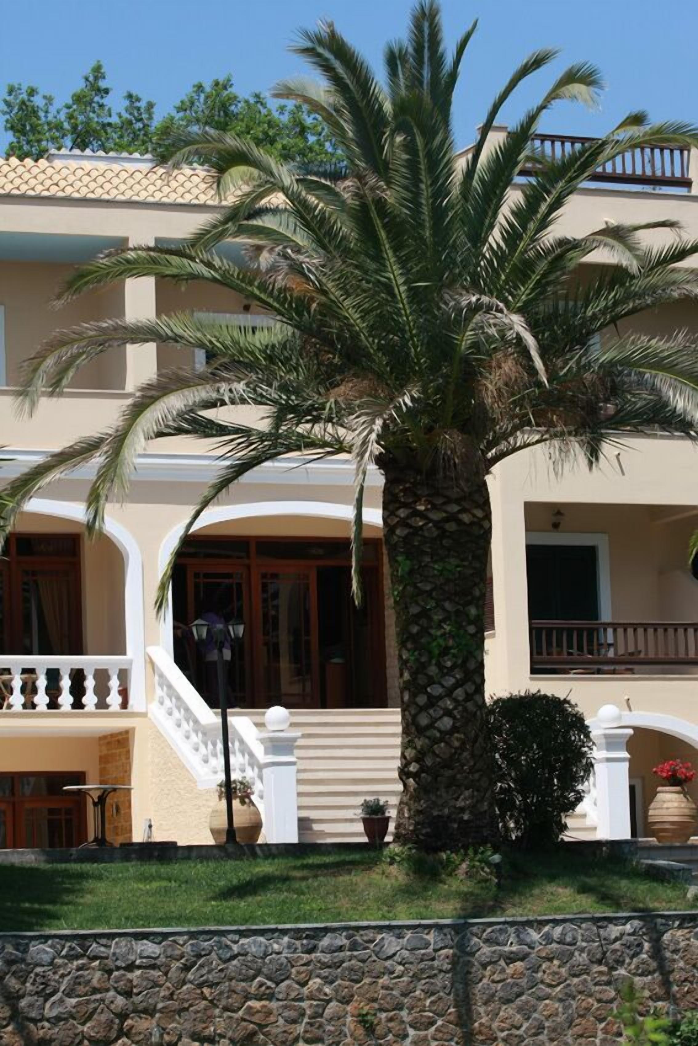 A two-story building with a stone facade, a palm tree in the foreground, and a staircase leading to the entrance.