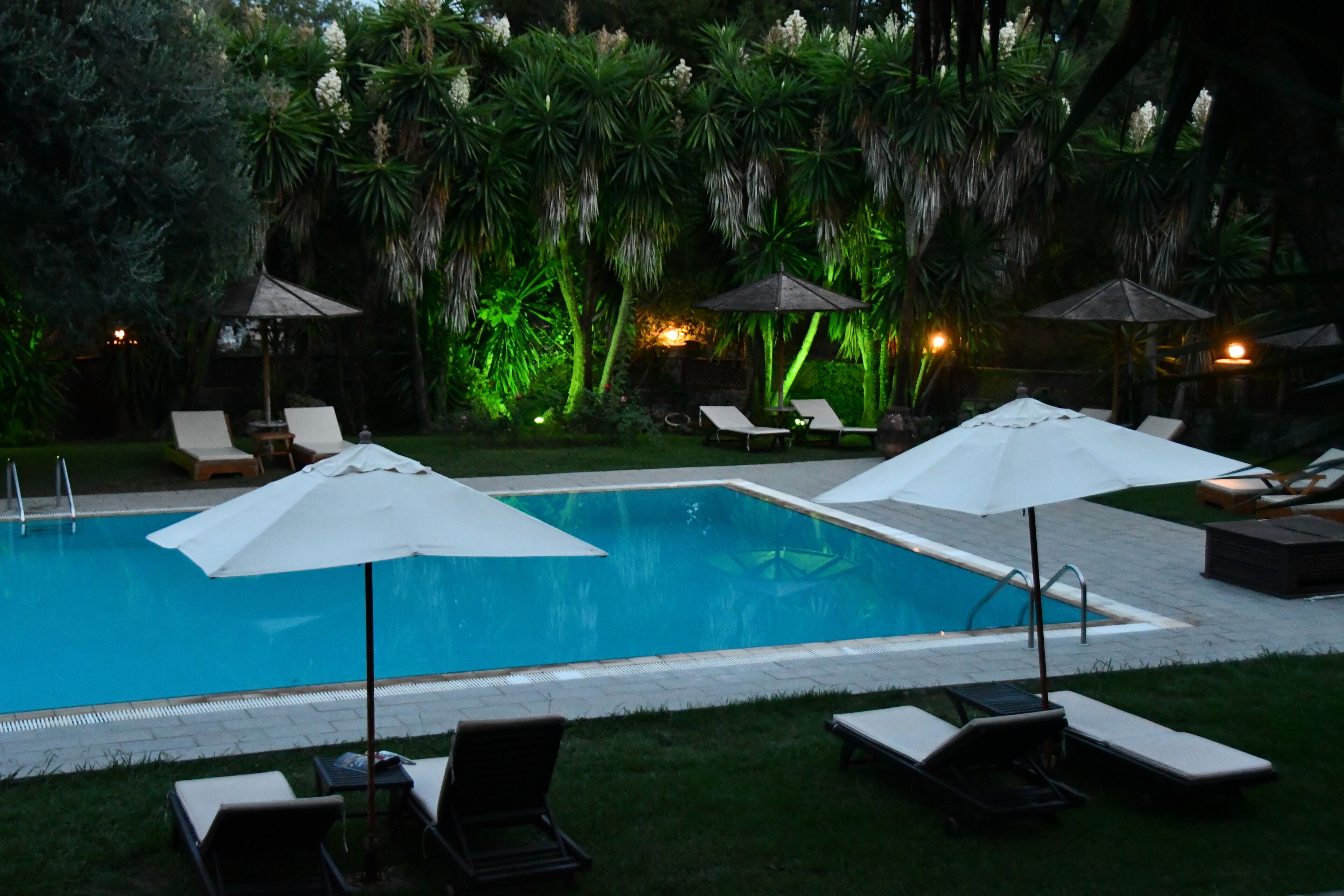 Ein Swimmingpool mit Liegestühlen und Sonnenschirmen, umgeben von üppiger Vegetation und Palmen.