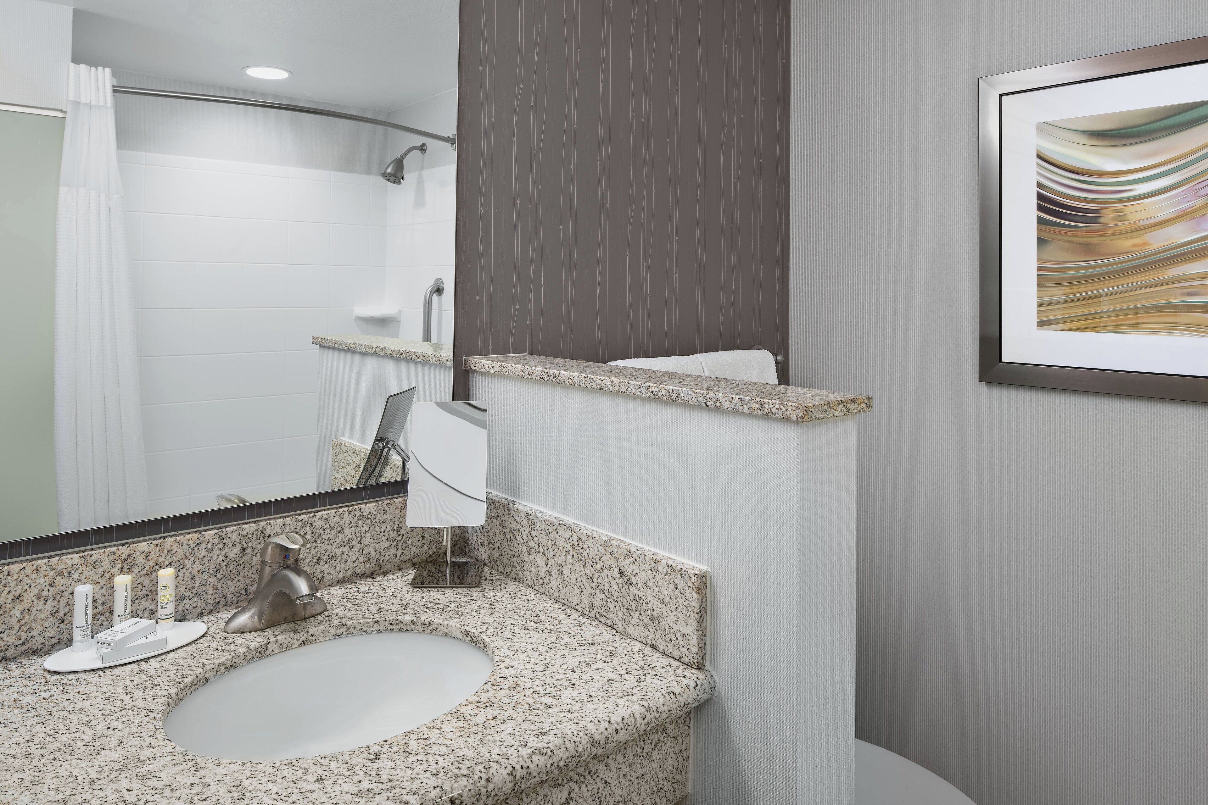 combined shower/bathtub, free toiletries, hair dryer, towels