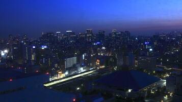 Premium Twin Room, Non Smoking, River View | View from room