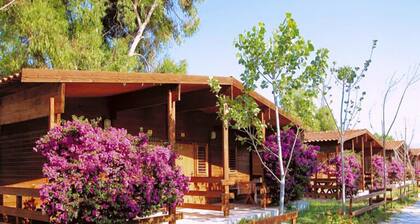 Camping Villaggio 5 Stelle