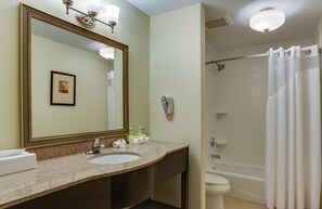 Un baño con un espejo grande, un lavamanos, un inodoro y una ducha con cortina.