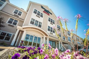 A hotel with a modern design, featuring a prominent entrance and large windows. - TownePlace Suites by Marriott Gilford (Gilford)
