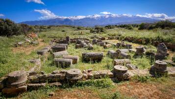 Ancient stone ruins with a mountainous backdrop.