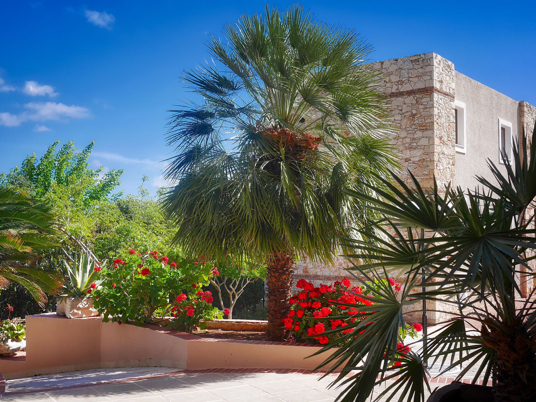 A traditional stone building with a palm tree and red flowers in the garden.