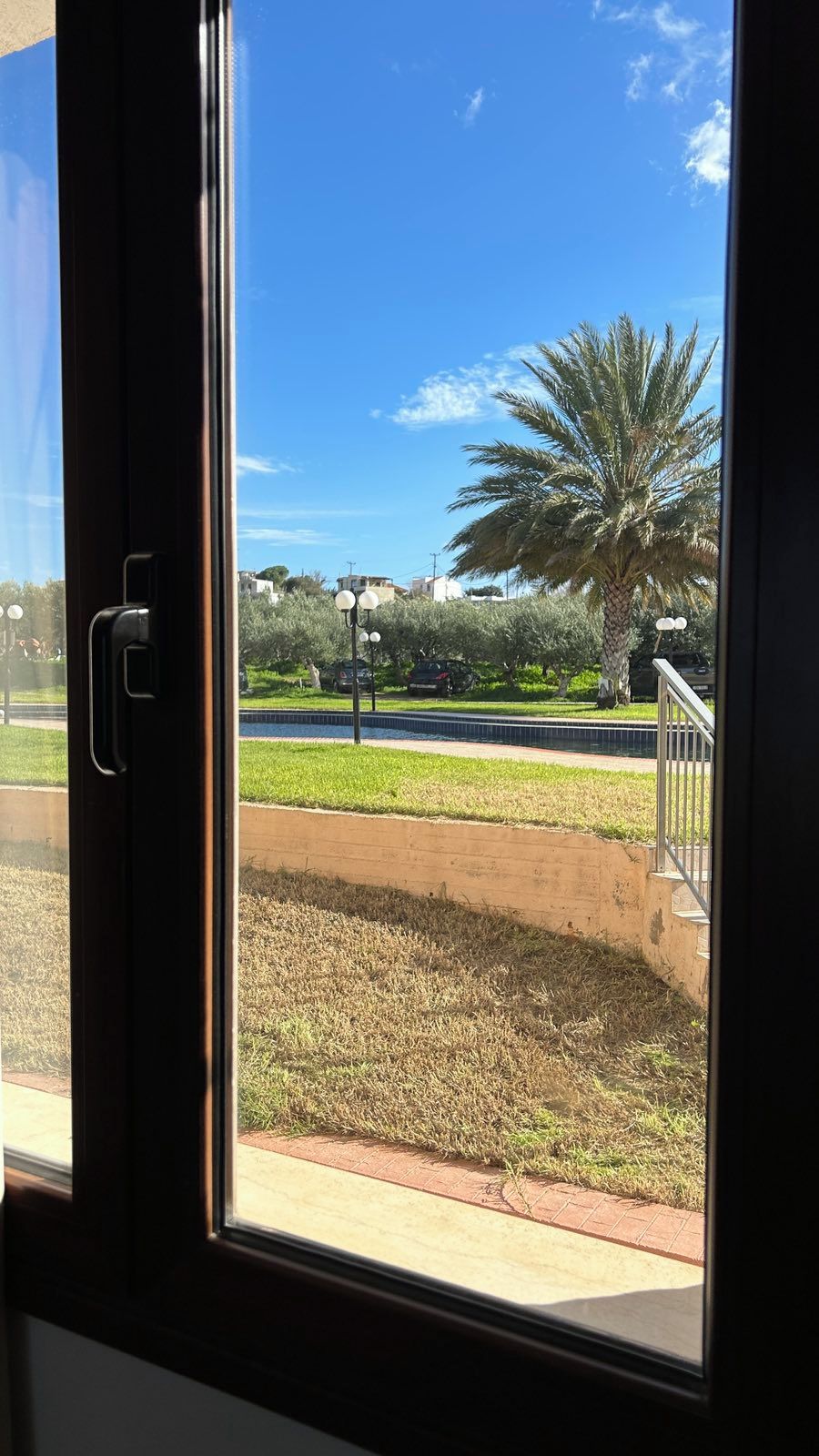 A view through a window with a door handle, featuring a grassy area, a palm tree, and a paved walkway.