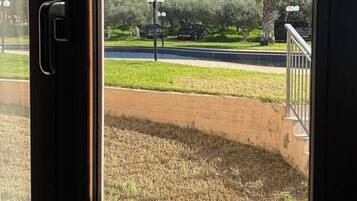 A view through a window with a door handle, featuring a grassy area, a palm tree, and a paved walkway.