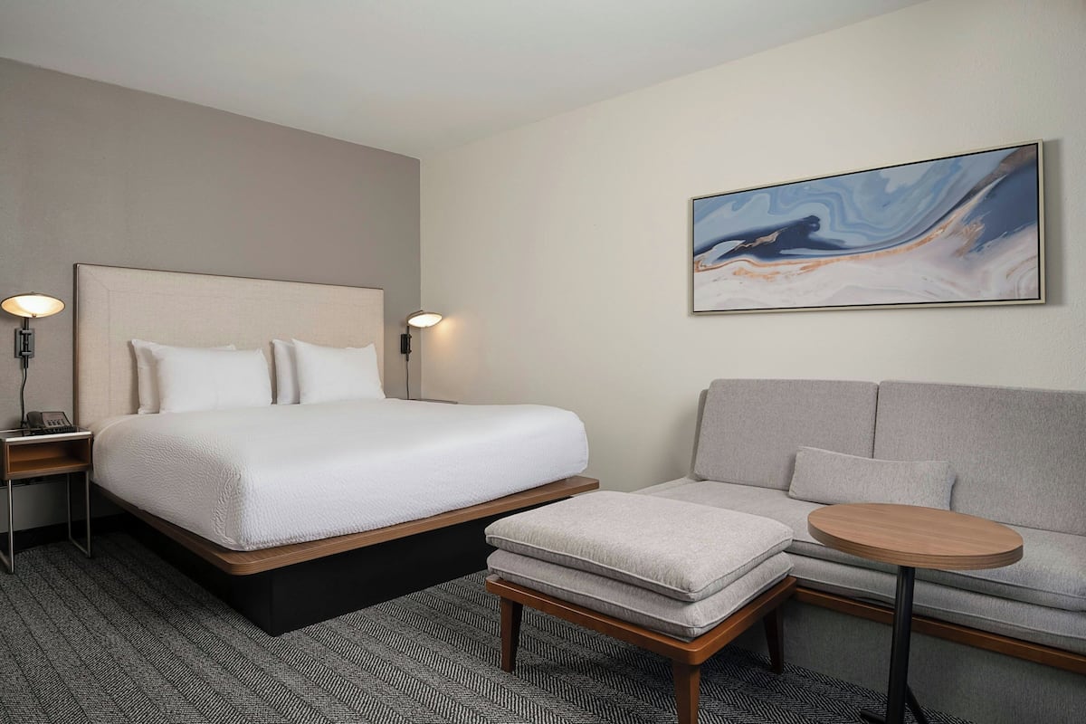 Room, 1 King Bed with Sofa bed