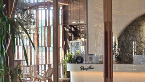 Un área de recepción con chimenea de piedra, muebles de madera y una planta grande en maceta.