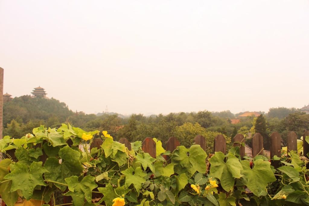Un vignoble avec des rangées de vignes et une clôture en bois au premier plan.
