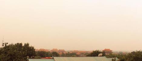 A building with a green roof and multiple windows, surrounded by trees and other buildings in the background.