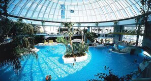 Una piscina interior con techo de vidrio, rodeada de diversas plantas y palmeras.