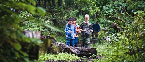A group of people walking through a forested area with a fallen tree in the foreground.