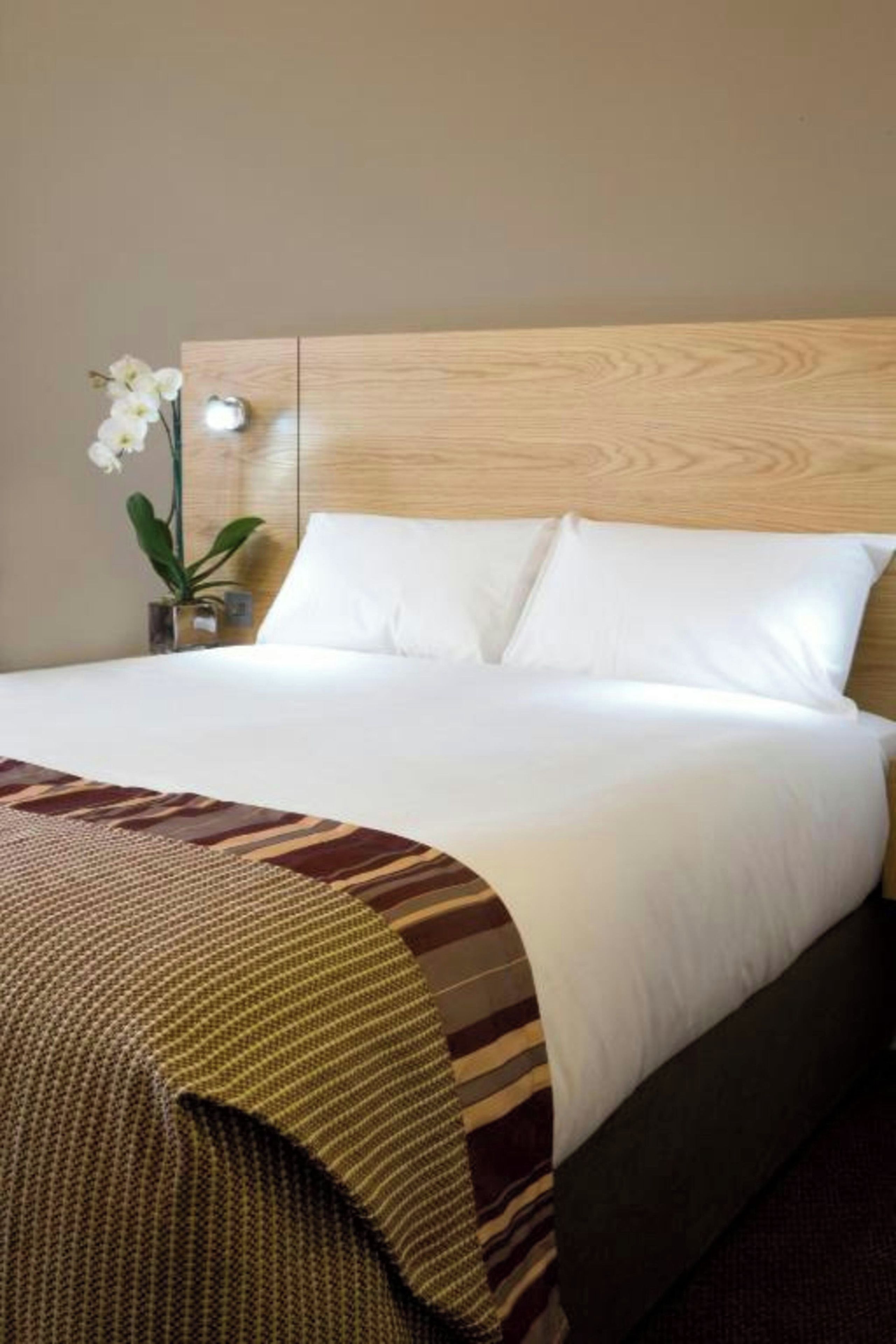 A hotel room with a wooden headboard, white bedding, a decorative throw, and a potted plant.