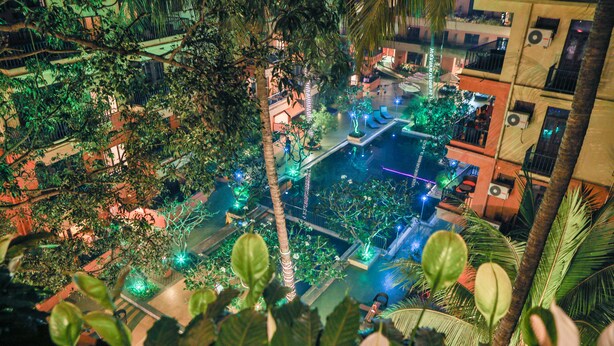 Un jardín interior con piscina, rodeado de palmeras y plantas.