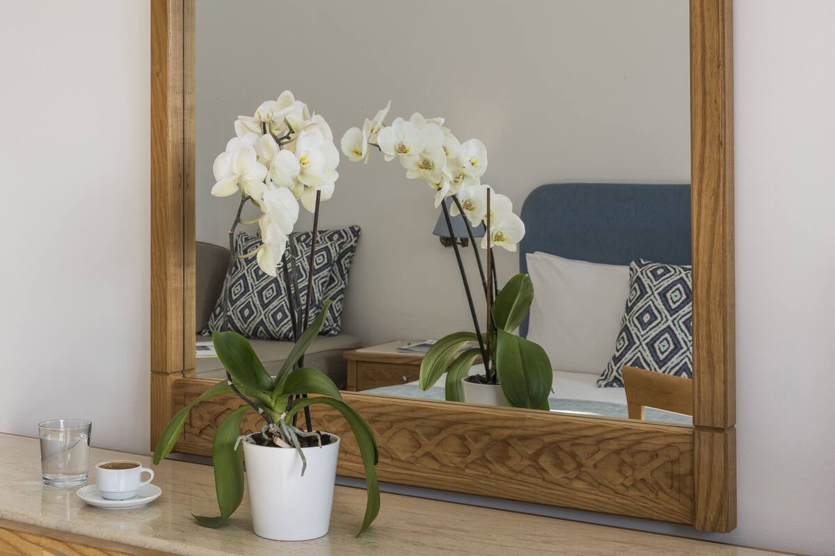 A wooden desk with a white orchid in a white pot, a glass of water, and a cup of coffee. A large mirror reflects a bed with patterned pillows.