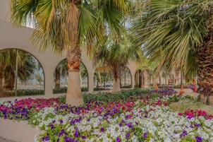 Um jardim com palmeiras e flores coloridas, um edifício com janelas em arco e um caminho pavimentado.