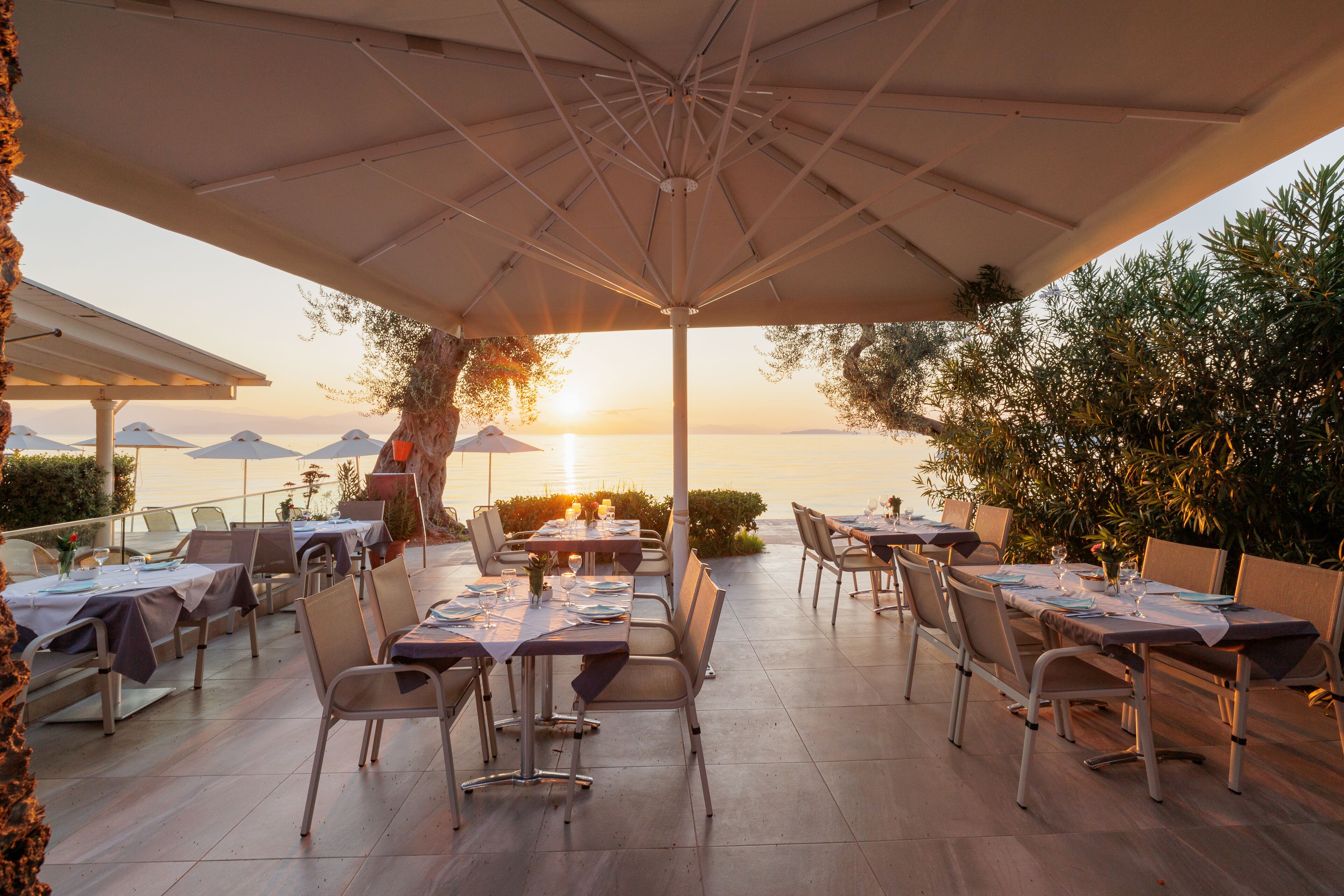 Foto - Elea Beach Hotel