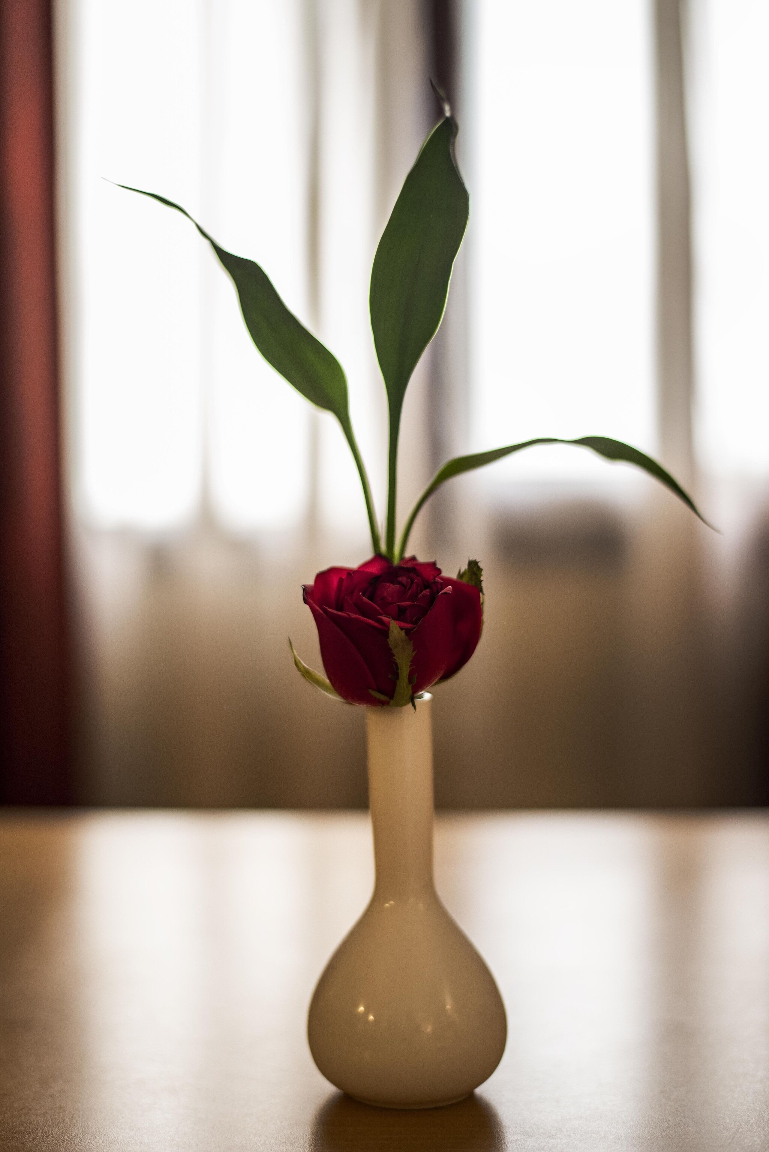 A vase with a single red rose on a table.