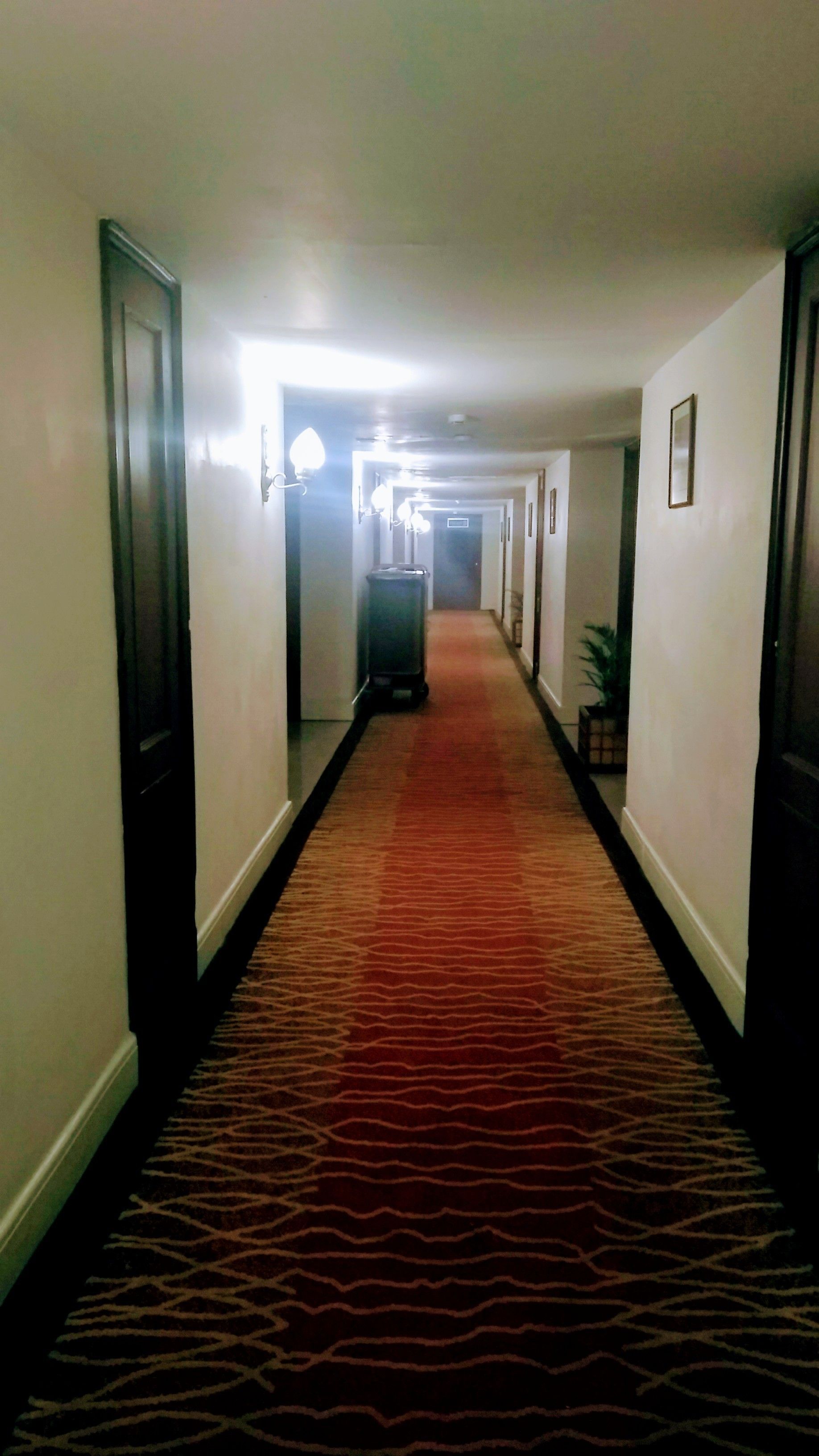 A hotel hallway with a patterned carpet, doors on both sides, and a light fixture at the end.