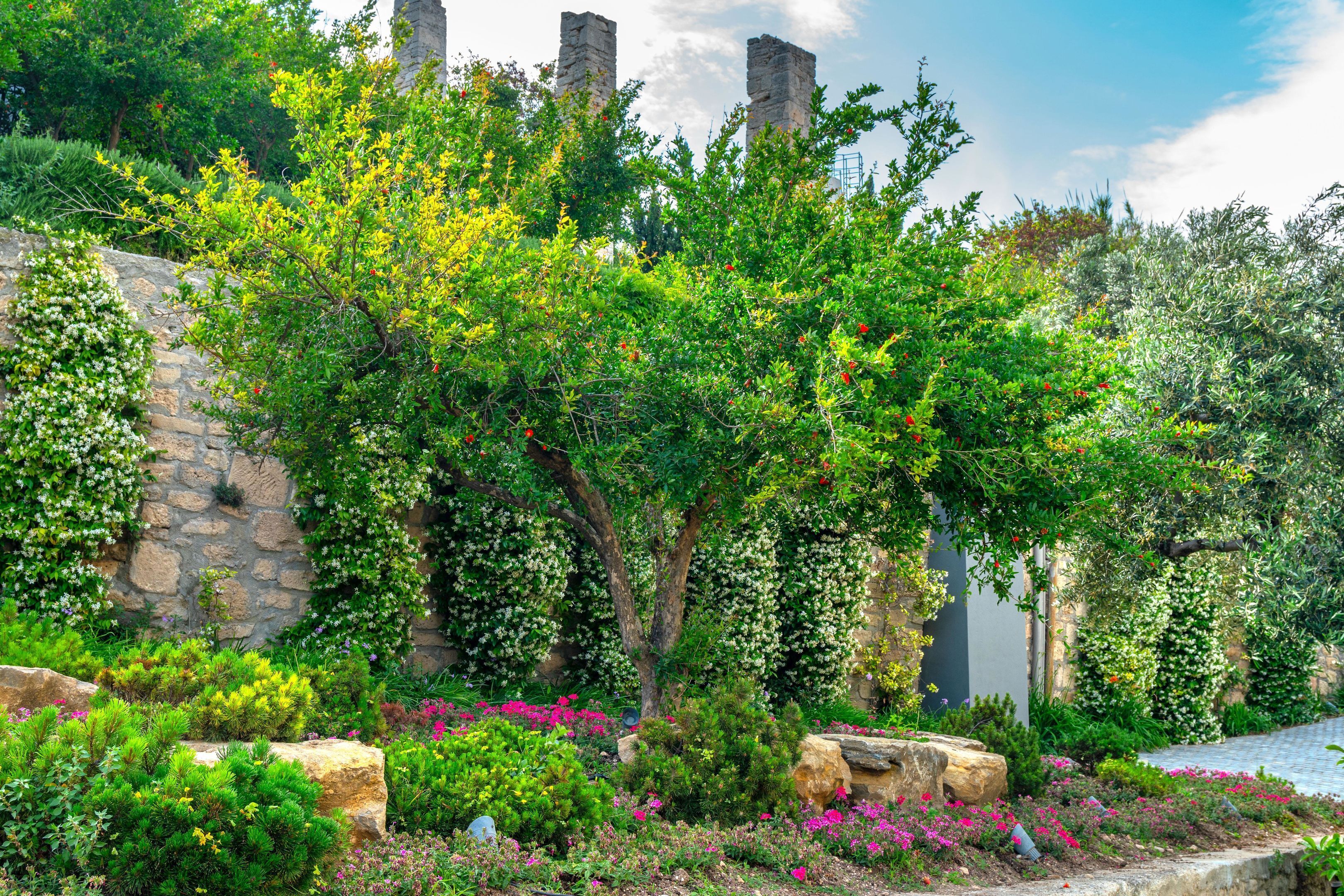 Un jardín con muros de piedra, árboles y plantas con flores.