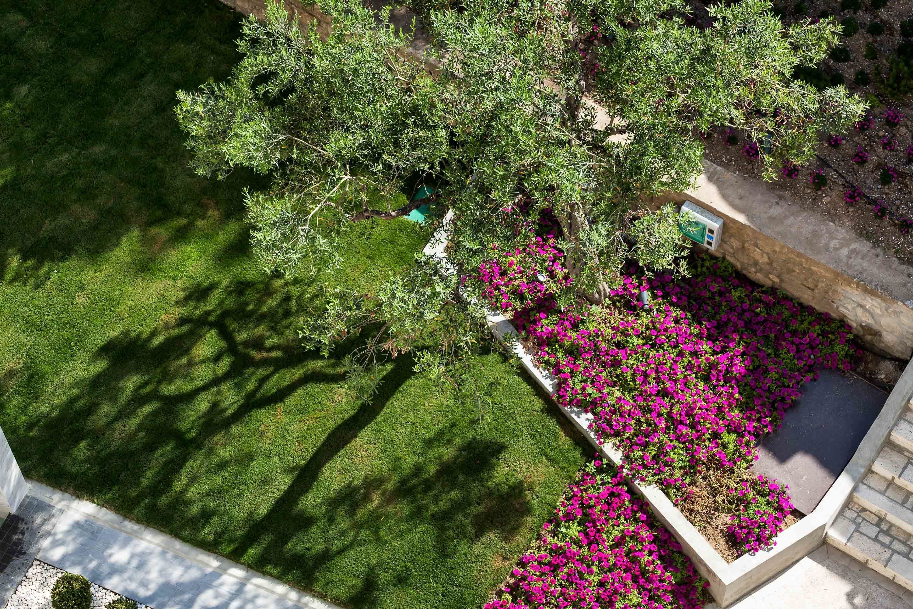 premium double room, garden view | garden view