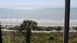 A beach view with a palm tree and a wooden fence.