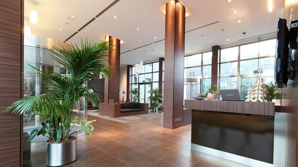 Een moderne receptie met een houten balie, grote ramen en een kamerplant.
