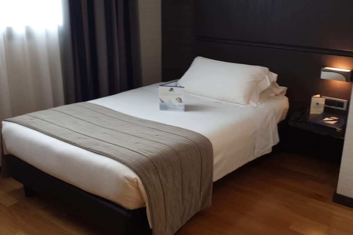 Luxe beddengoed, donsdekens, een minibar, een kluis op de kamer