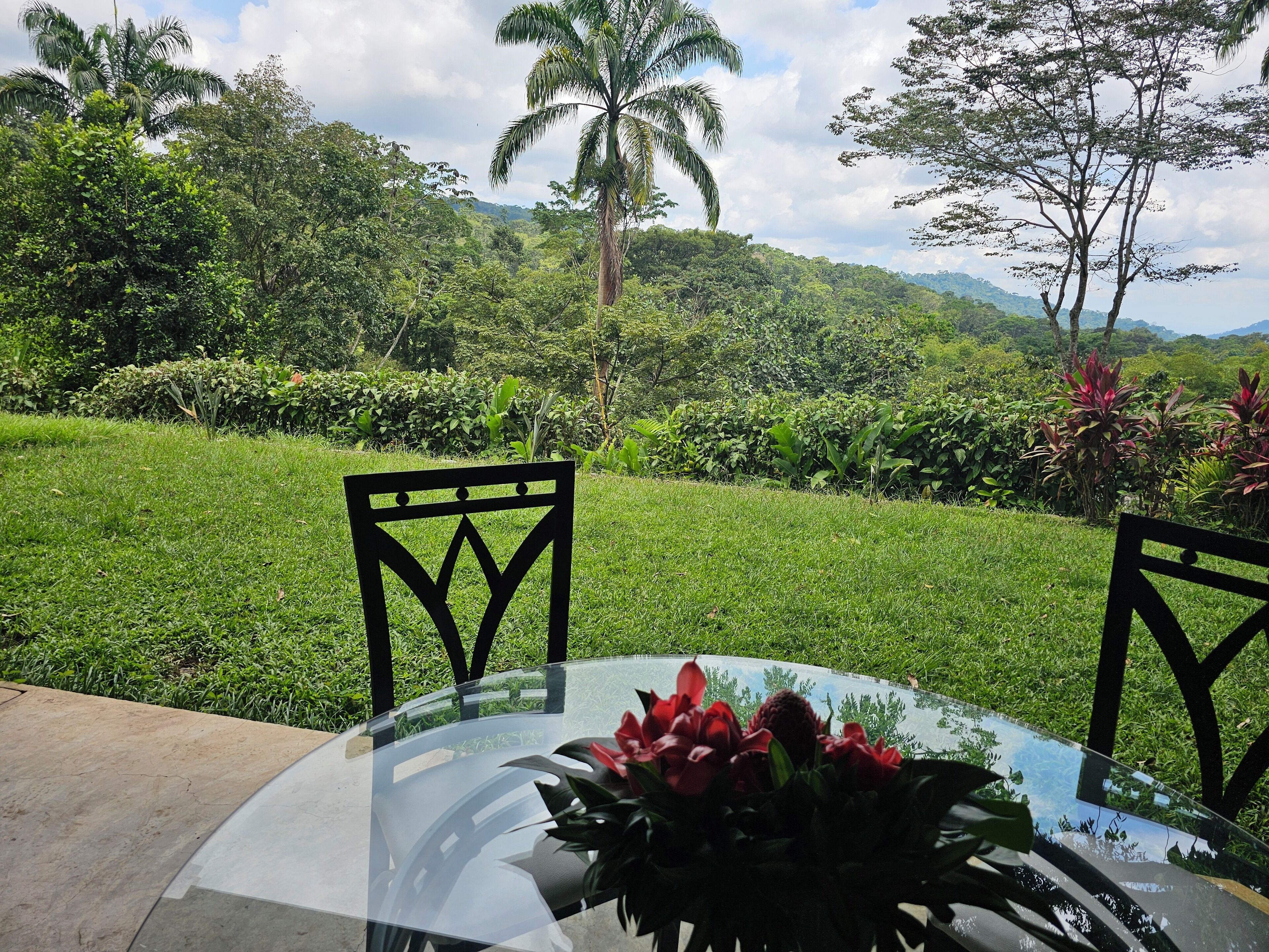 Standard Double Room | Terrace/patio