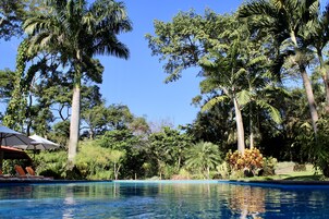 Una piscina al aire libre, sombrillas, sillones reclinables de piscina