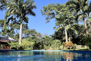 Outdoor pool, pool umbrellas, pool loungers