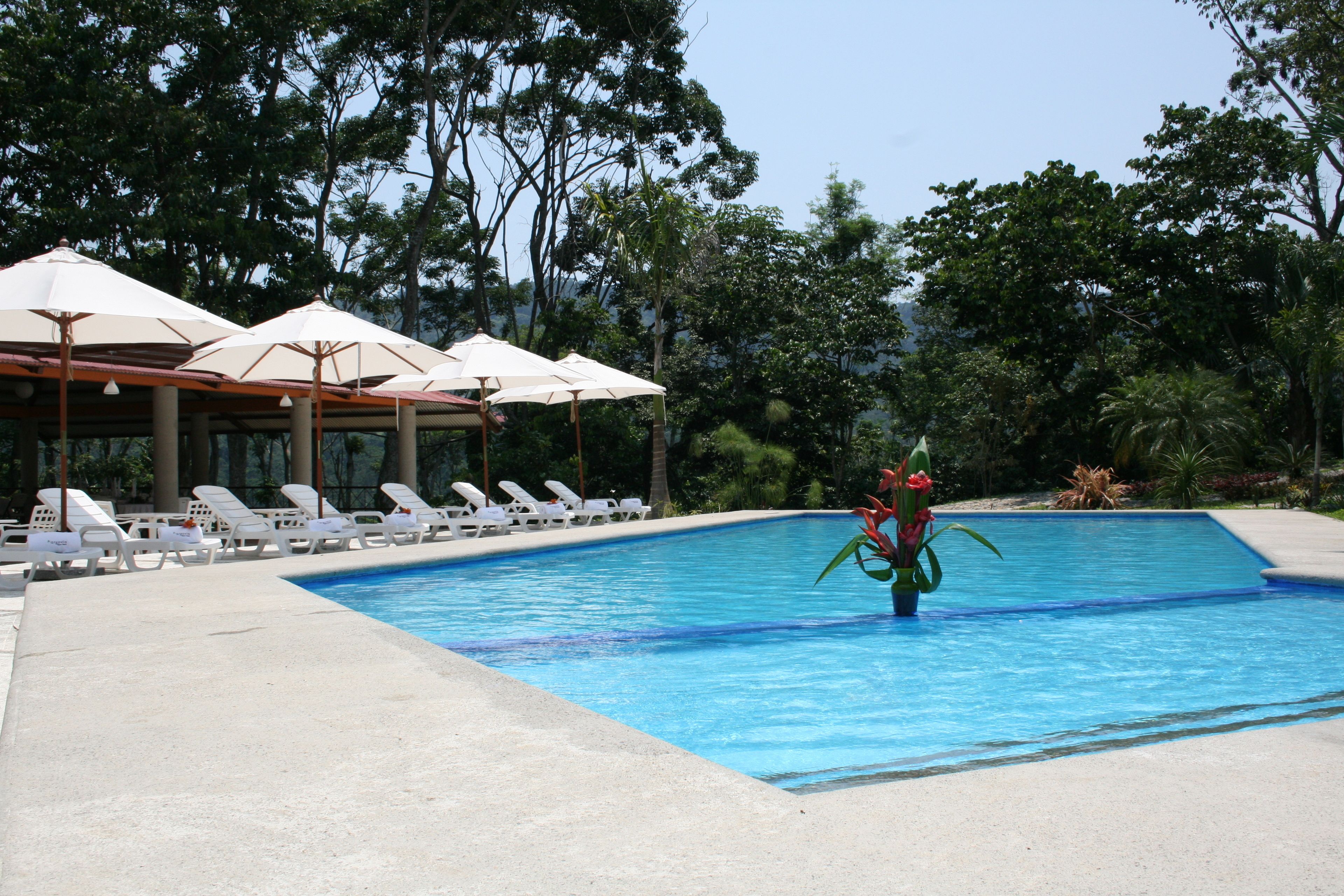 حمّام سباحة خارجي، مظلات على حمّام السباحة، مقاعد للتشمس