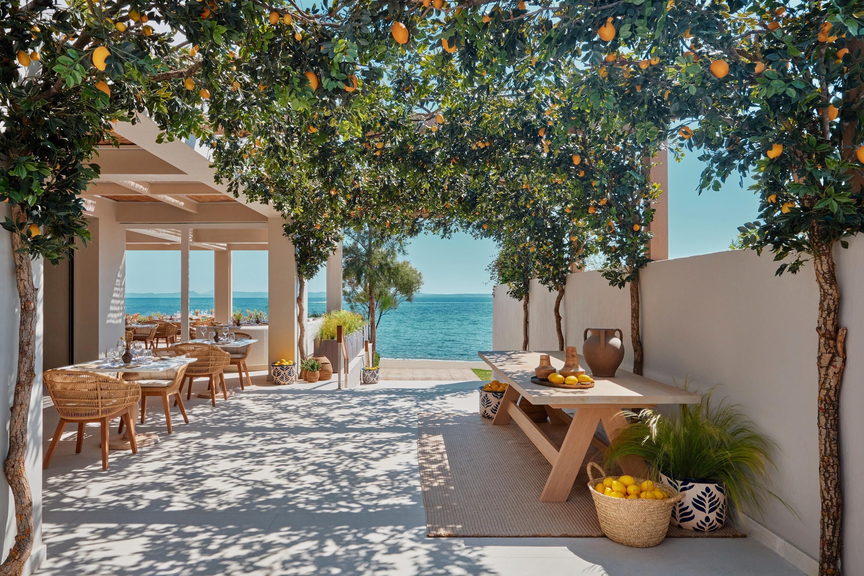 6 restauranter; serverer morgenmad, frokost, aftensmad og græske retter