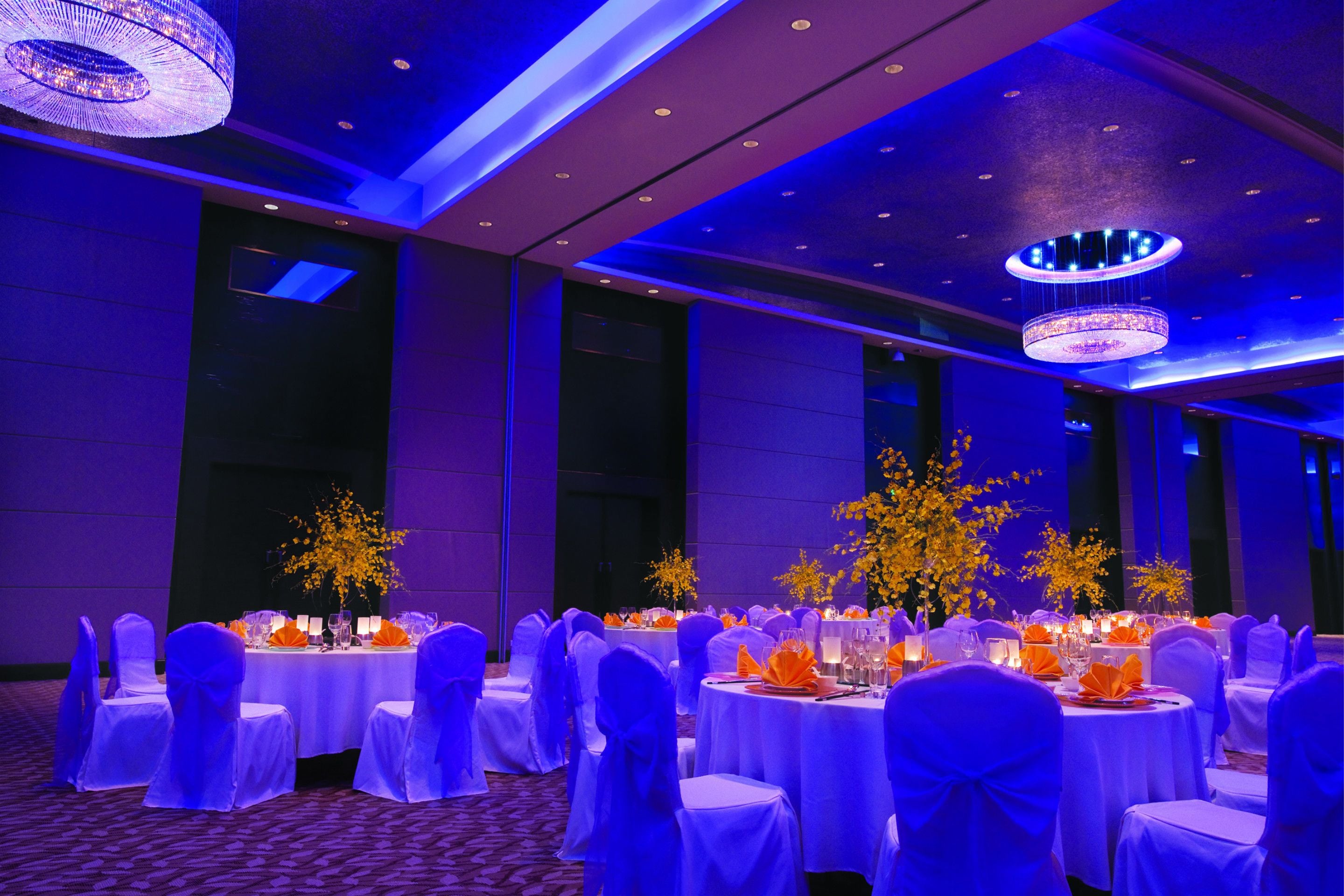 A banquet hall with round tables, white tablecloths, and chairs with blue sashes.