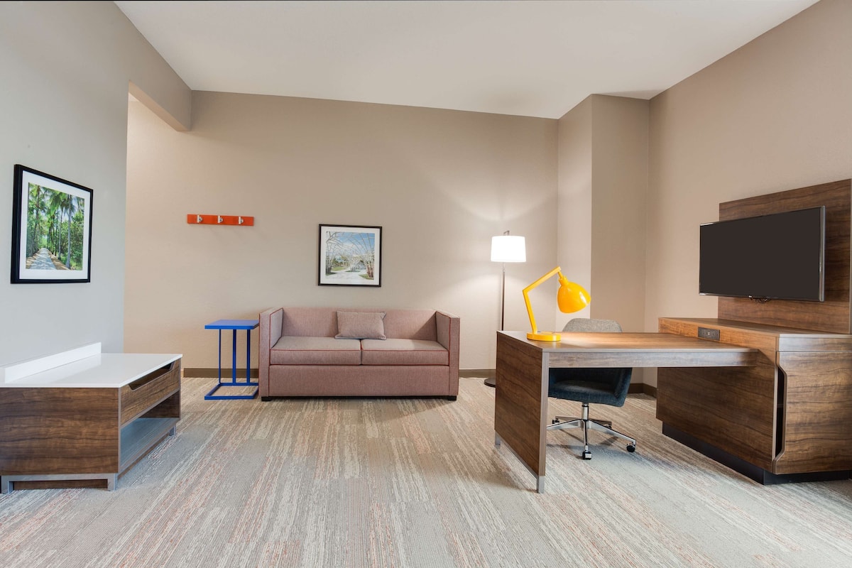 Studio Suite, 1 King Bed, Non Smoking | Living area | 32-inch LCD TV with cable channels, TV, pay movies