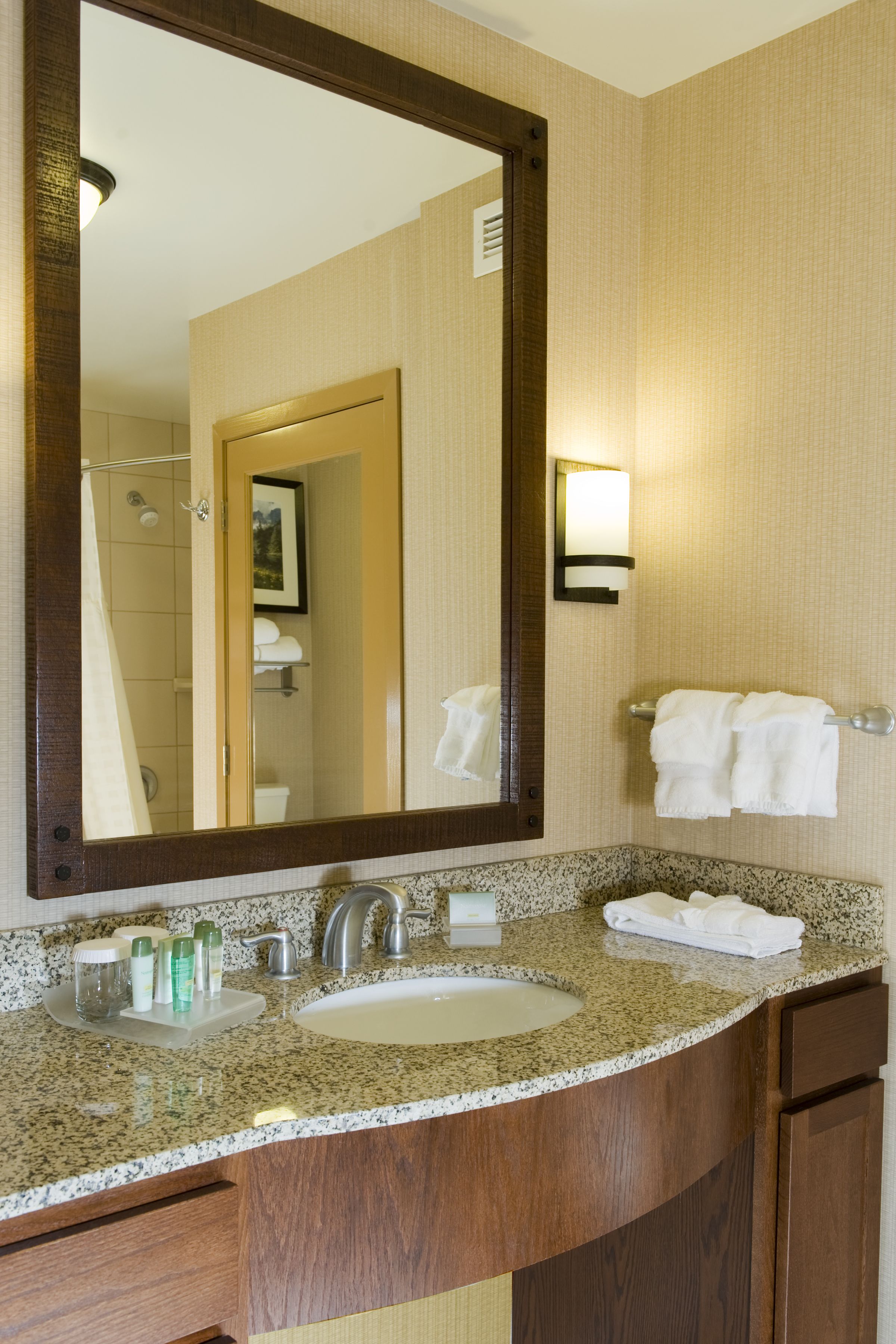 combined shower/bathtub, free toiletries, hair dryer, towels