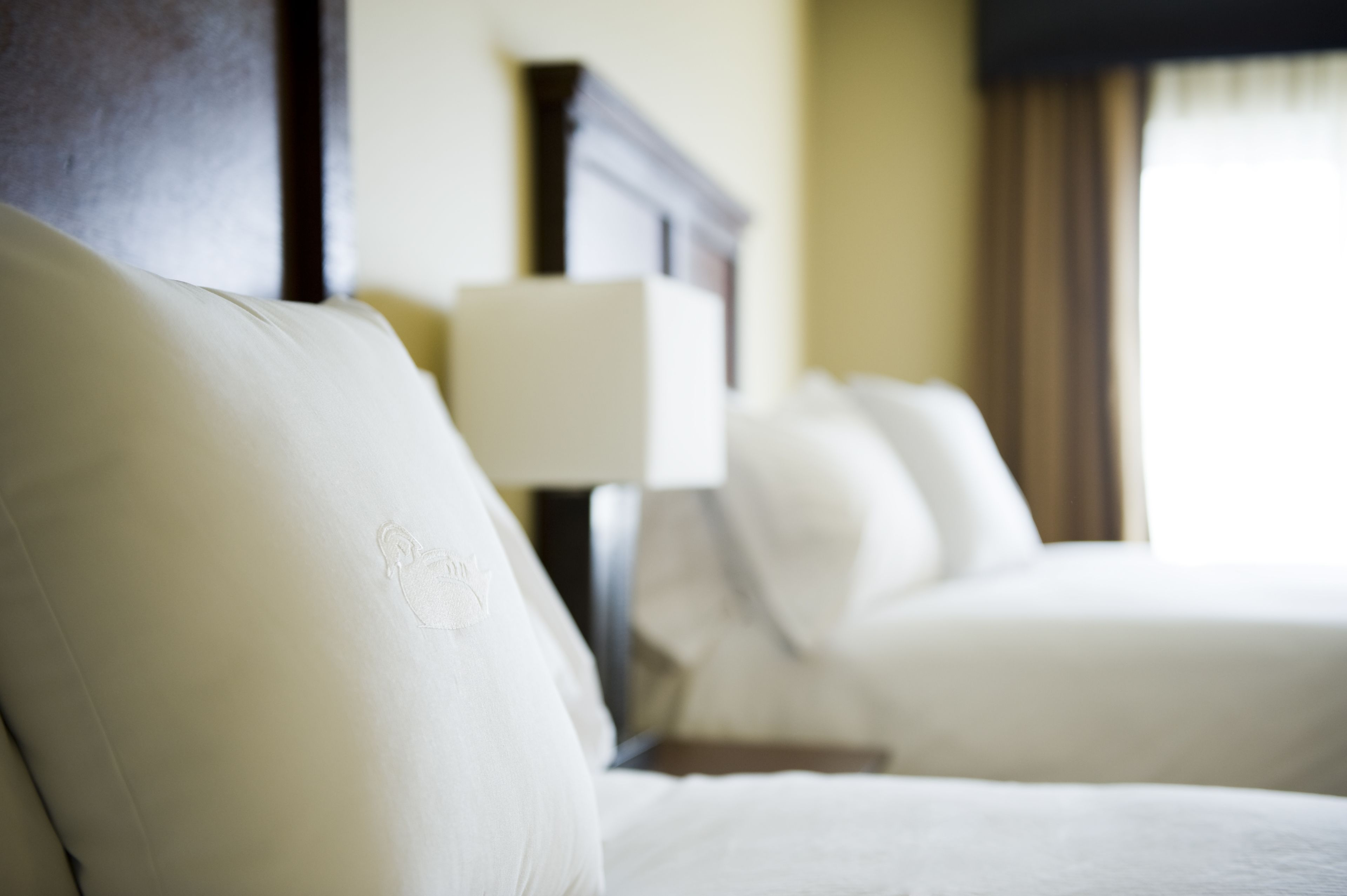 premium bedding, down duvets, in-room safe, desk