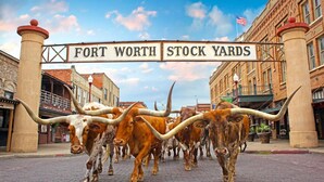 A street scene with a sign reading "FORT WORTH STOCK YARDS" and cattle in the foreground.
