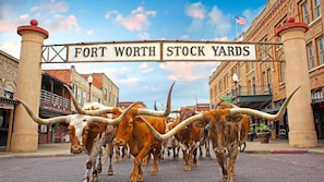 A street scene with a sign reading "FORT WORTH STOCK YARDS" and cattle in the foreground.